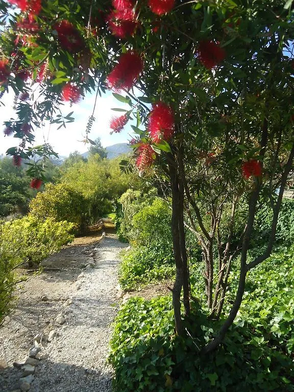 Villa Quinto Pino Frigiliana Holiday home
